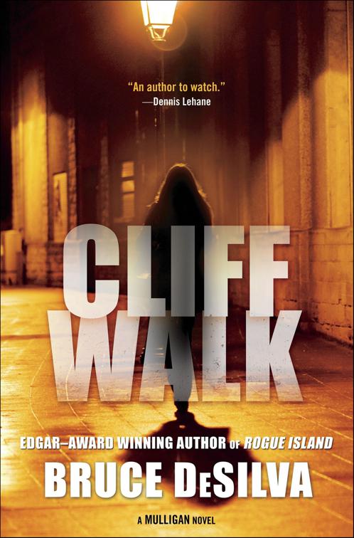 Cliff Walk, Liam Mulligan