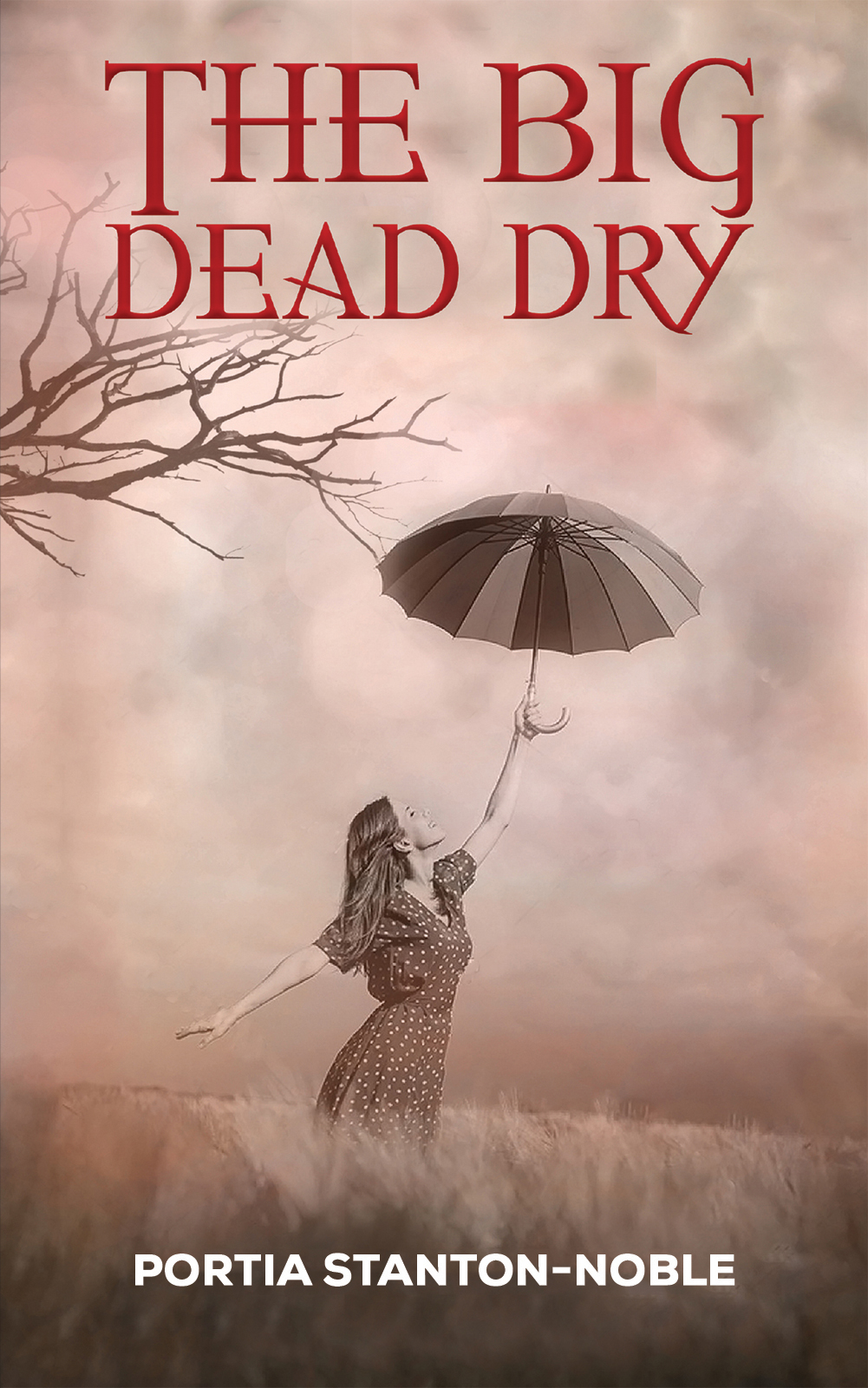 This image is the cover for the book The Big Dead Dry