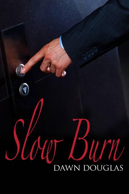 This image is the cover for the book Slow Burn