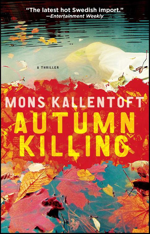 Autumn Killing, Malin Fors Series