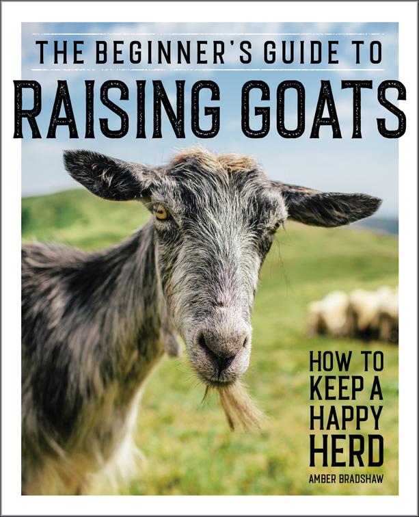 Beginner’s Guide to Raising Goats