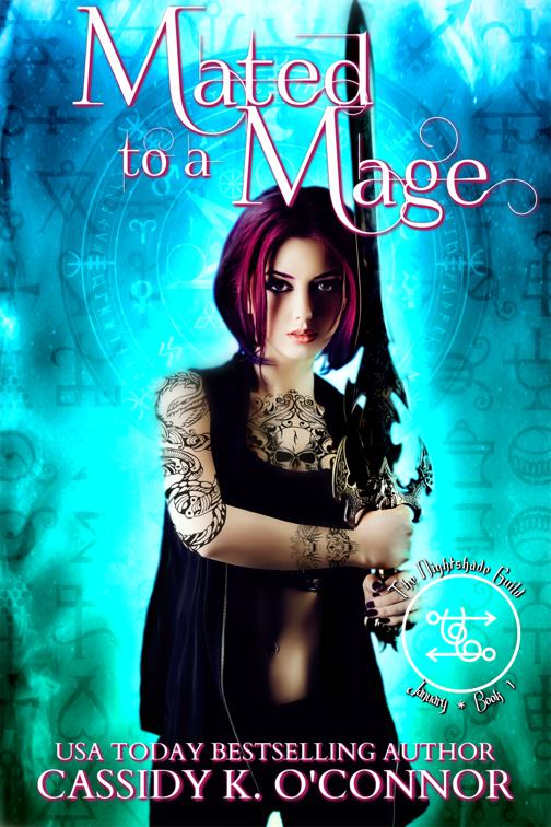 Mated to a Mage, YR1 - The Nightshade Guild: The Elven Princess