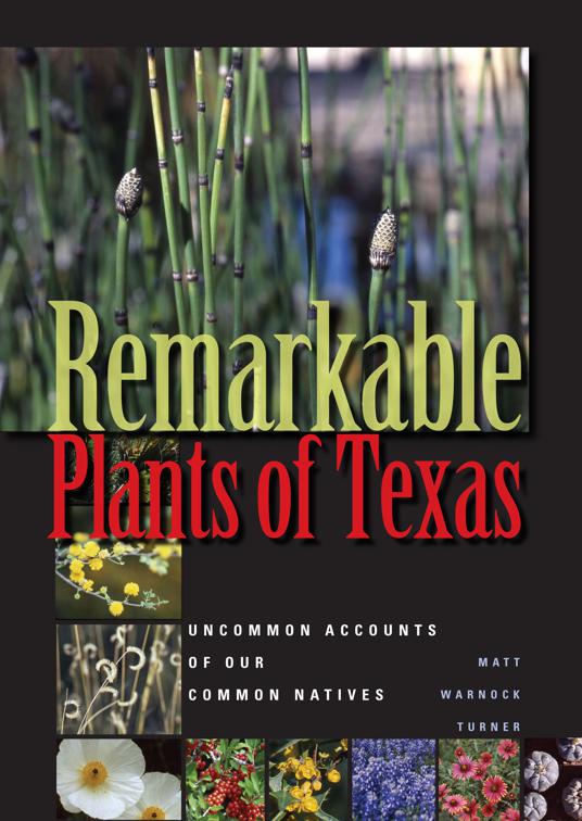 Remarkable Plants of Texas, Corrie Herring Hooks Series