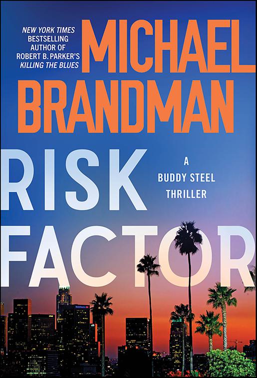 Risk Factor, Buddy Steel Thrillers