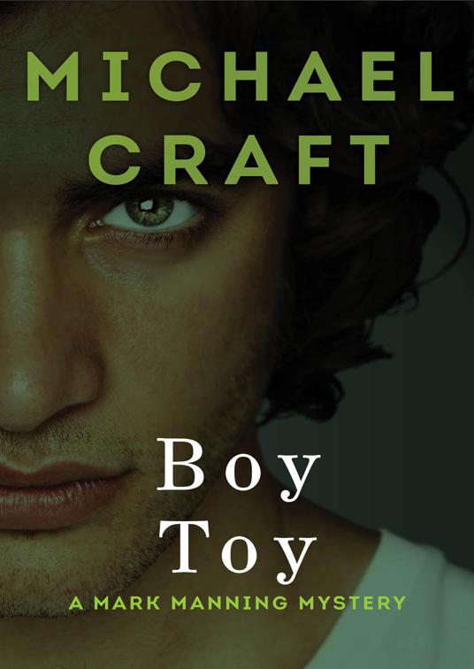 Boy Toy, The Mark Manning Mysteries