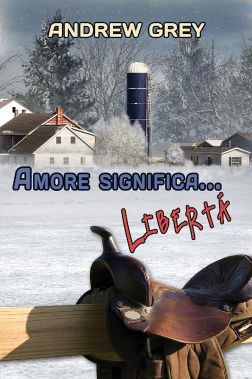 This image is the cover for the book Amore significa... libertà, Serie Amore Significa…