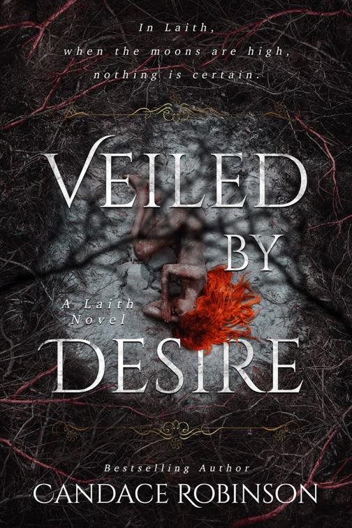 This image is the cover for the book Veiled by Desire