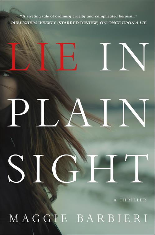 Lie in Plain Sight, Maeve Conlon Novels