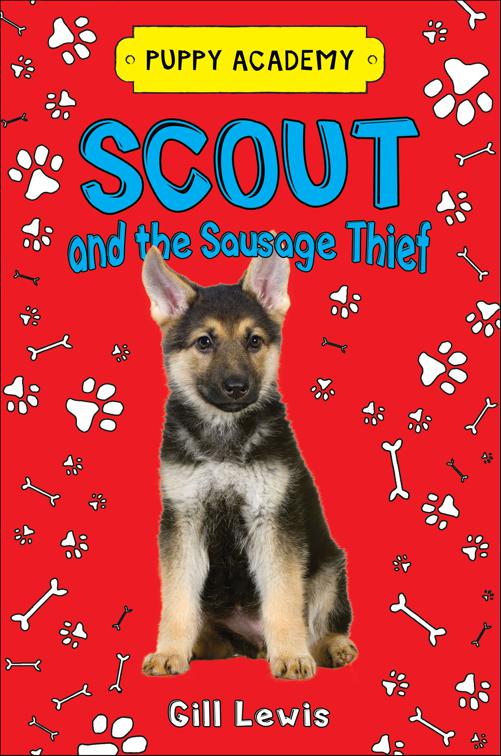 Scout and the Sausage Thief, Puppy Academy