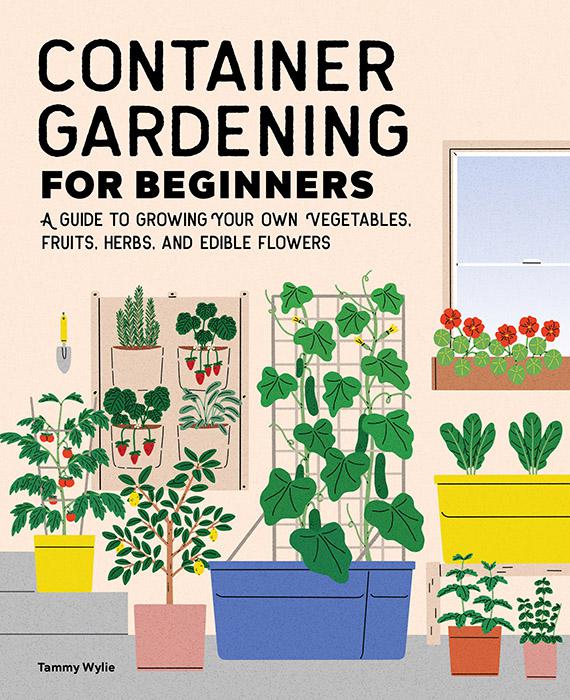 Container Gardening For Beginners