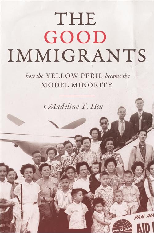 Good Immigrants, Politics and Society in Modern America