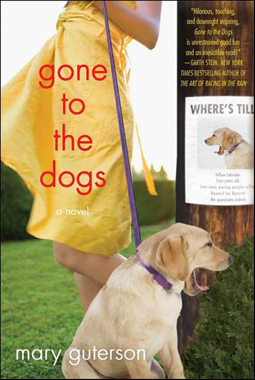 Gone to the Dogs