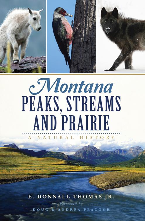 Montana Peaks, Streams and Prairie, Natural History