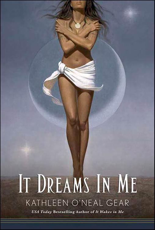 It Dreams In Me, In Me Series
