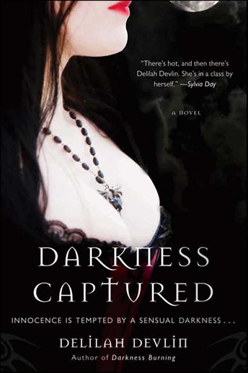 Darkness Captured, Dark Realm Series