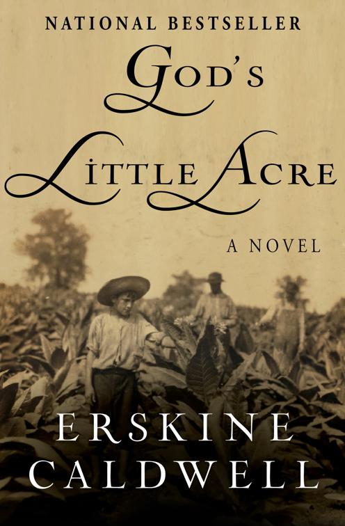 God&#x27;s Little Acre