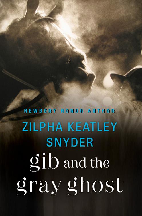 Gib and the Gray Ghost, Gib