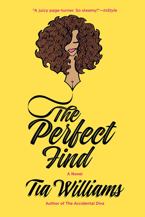This image is the cover for the book The Perfect Find