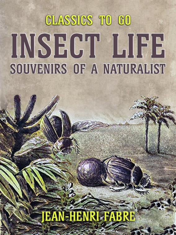 This image is the cover for the book Insect Life Souvenirs of a Naturalist, Classics To Go