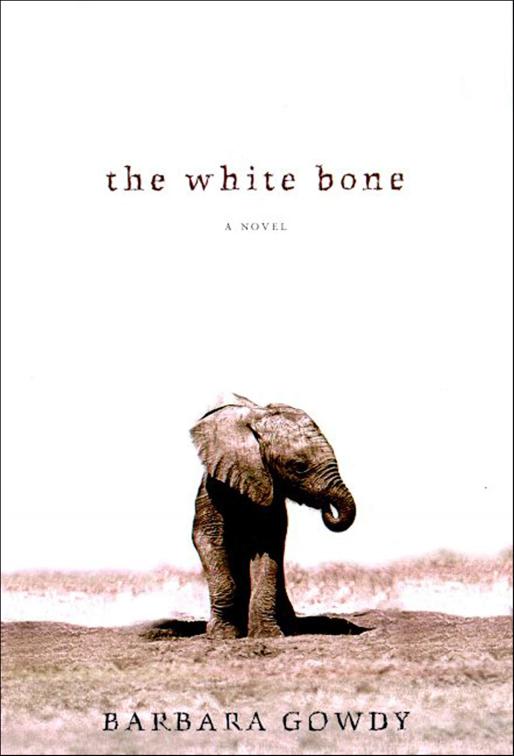 White Bone