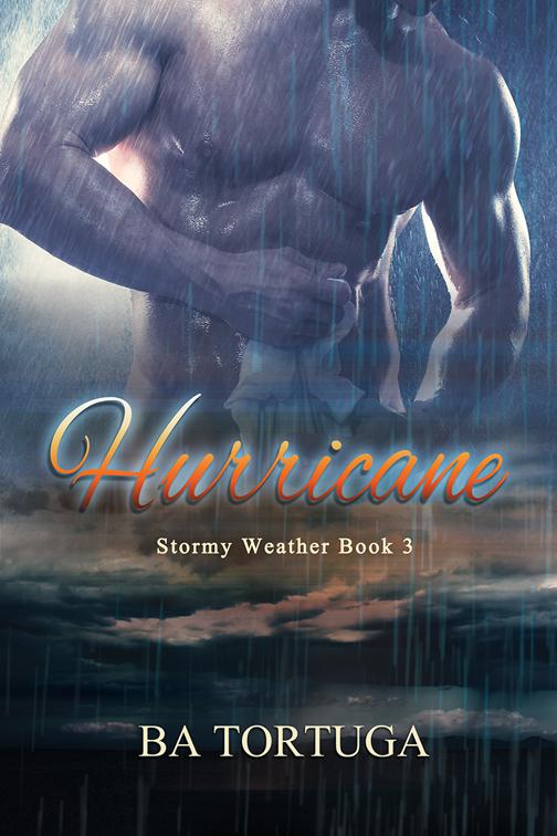This image is the cover for the book Hurricane, Stormy Weather