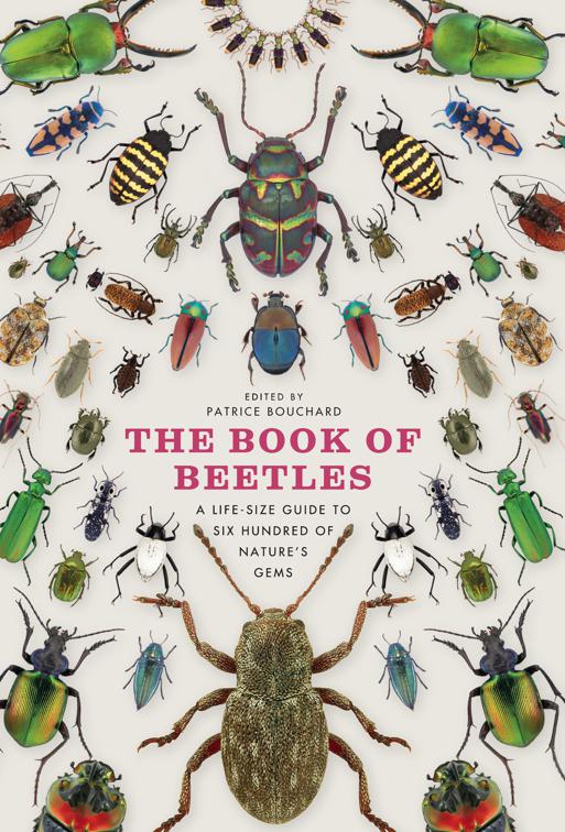 Book of Beetles