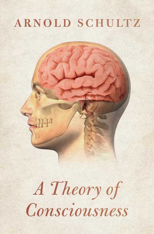 Theory of Consciousness
