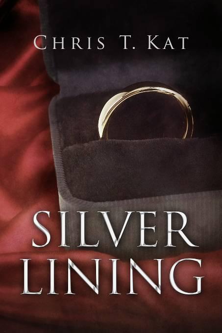 This image is the cover for the book Silver Lining