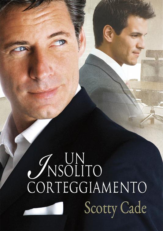 Un insolito corteggiamento, Serie Un&#x27;insolita