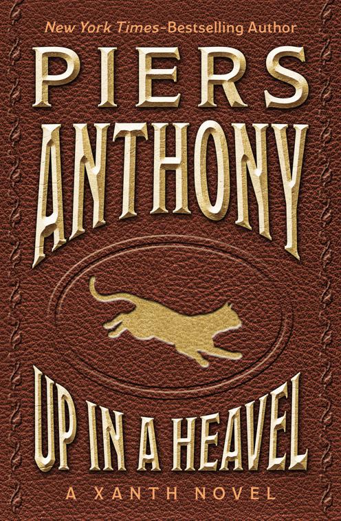 Swell Foop, The Xanth Novels