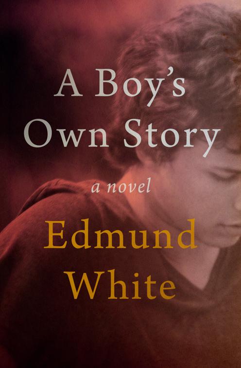 Boy&#x27;s Own Story