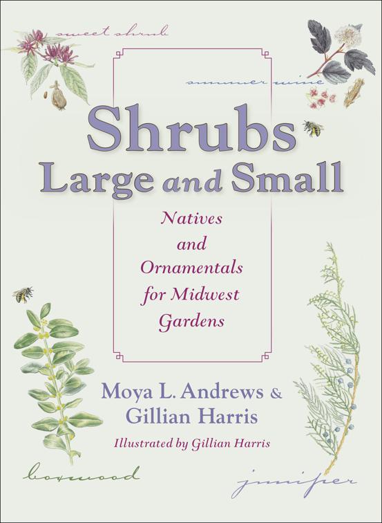 Shrubs Large and Small