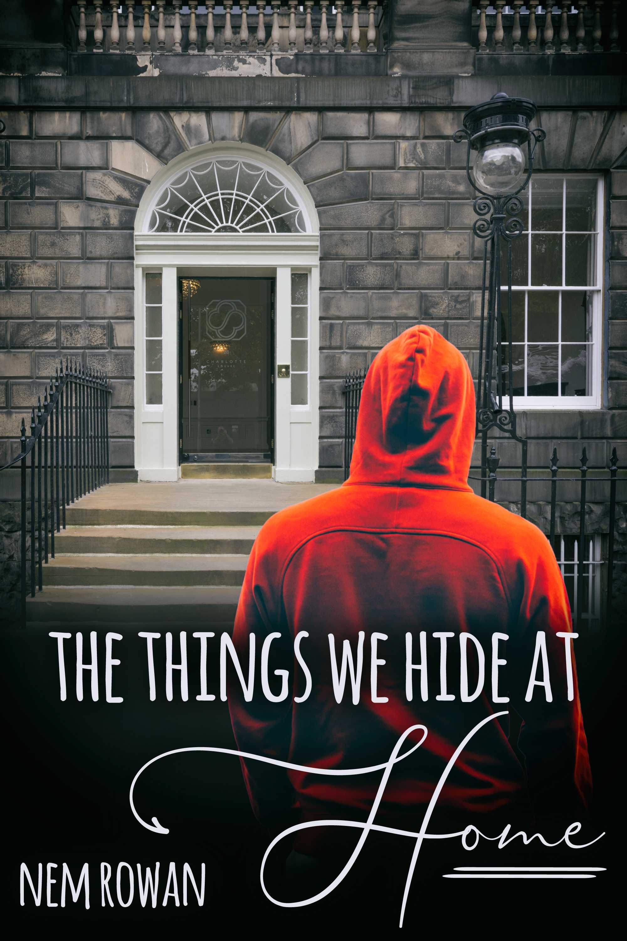 This image is the cover for the book The Things We Hide at Home