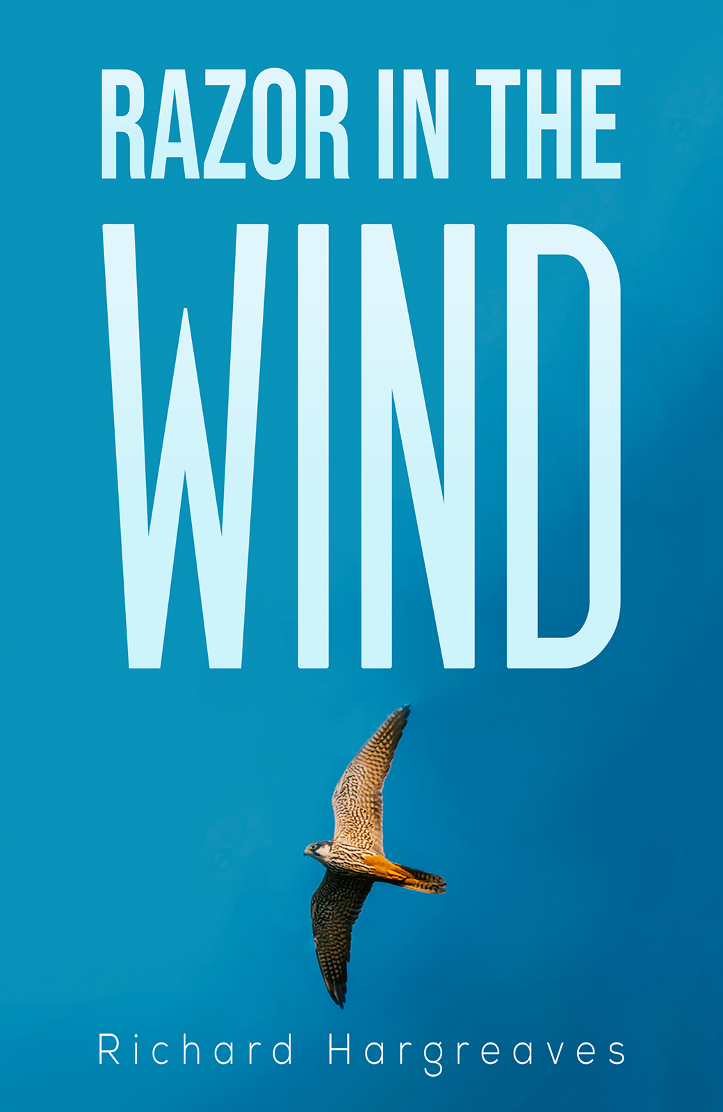 This image is the cover for the book Razor in the Wind