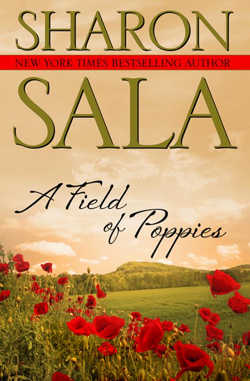 Field of Poppies