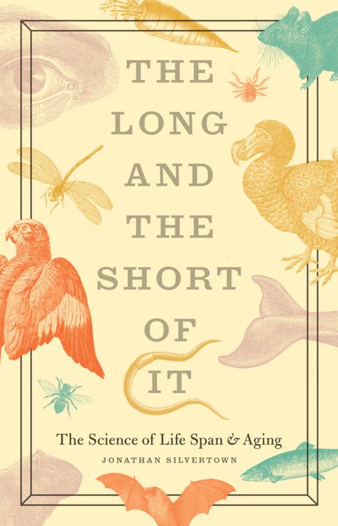 Long and the Short of It