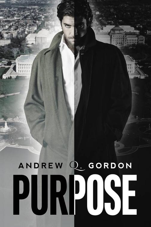 This image is the cover for the book Purpose