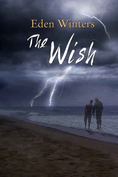 This image is the cover for the book The Wish