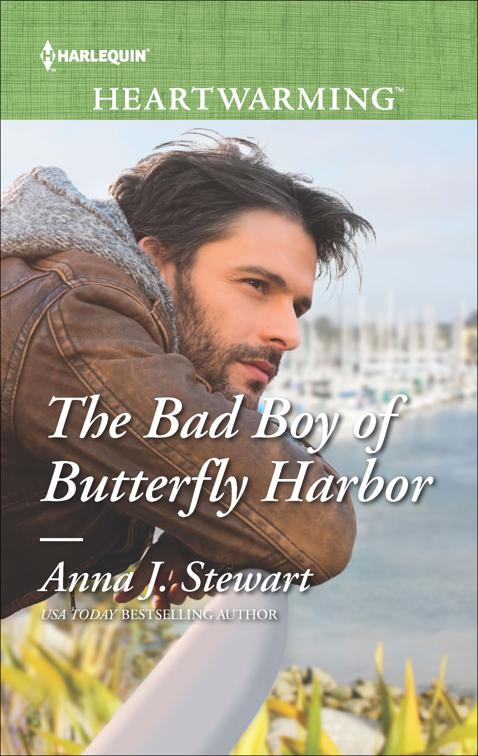 Bad Boy of Butterfly Harbor, Butterfly Harbor Stories