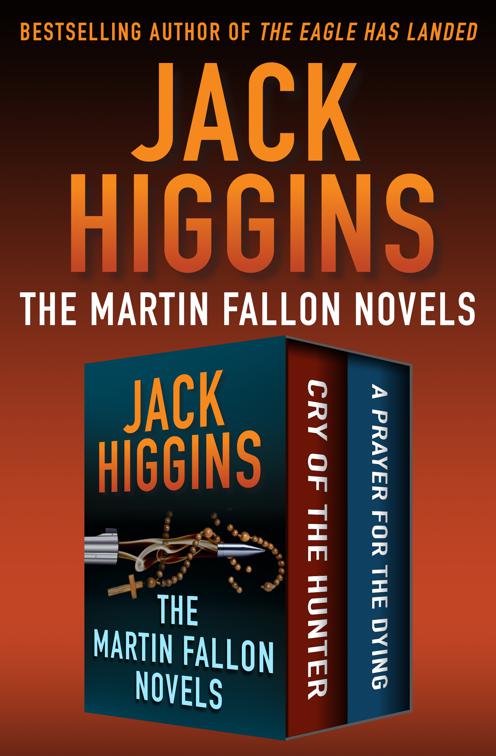 Martin Fallon Novels, The Martin Fallon Novels