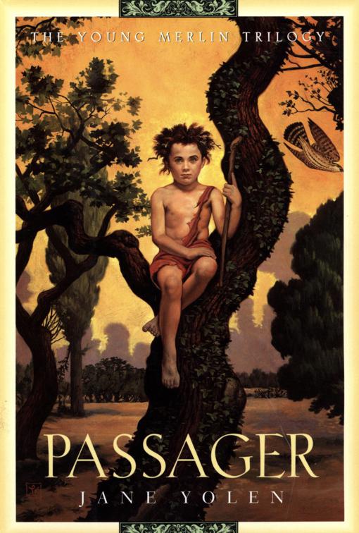 Passager, The Young Merlin Trilogy