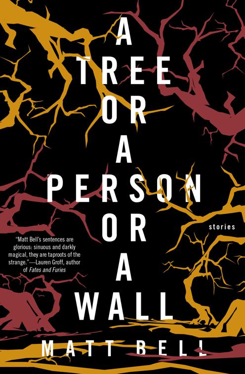 Tree or a Person or a Wall