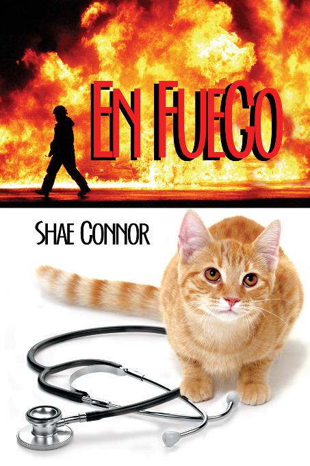 This image is the cover for the book En Fuego
