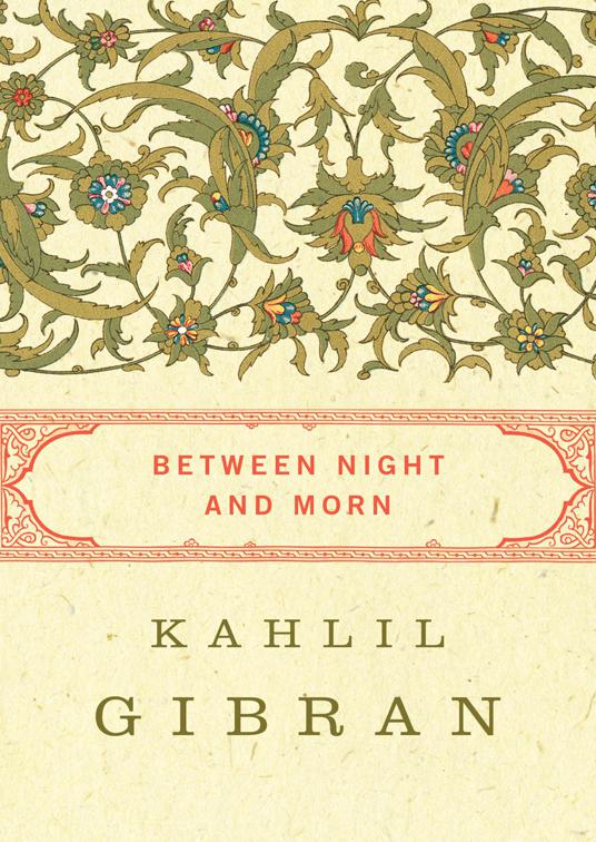 This image is the cover for the book Between Night and Morn