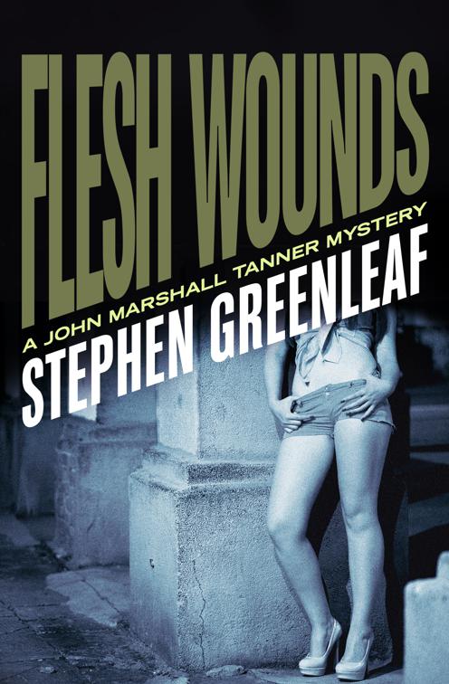 Flesh Wounds, The John Marshall Tanner Mysteries