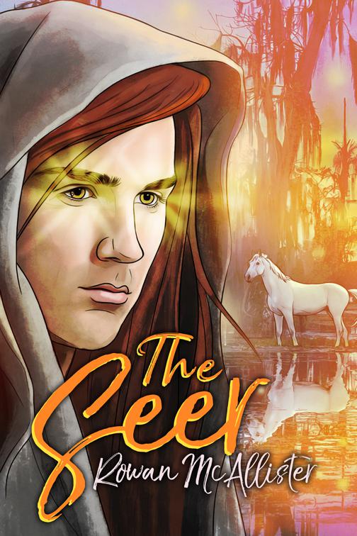 The Seer, Chronicles of the Riftlands