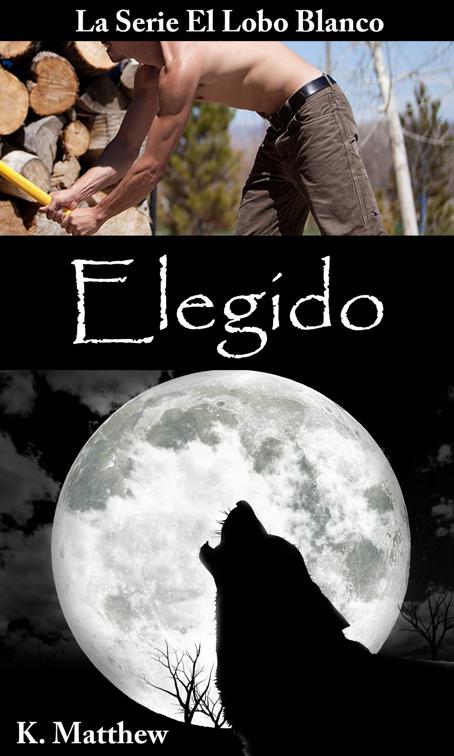 Elegido