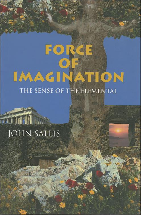 Force of Imagination, Studies in Continental Thought