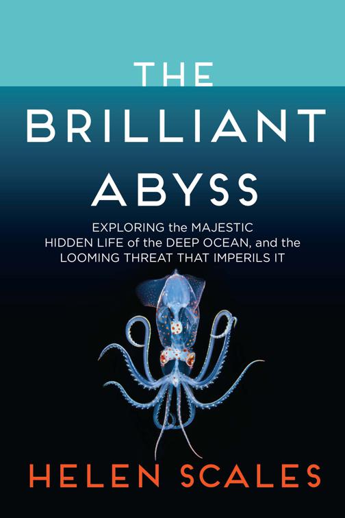 Brilliant Abyss