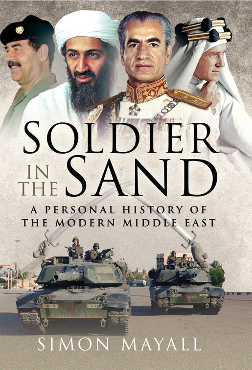 Soldier in the Sand